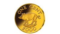 Cents ar cūku 