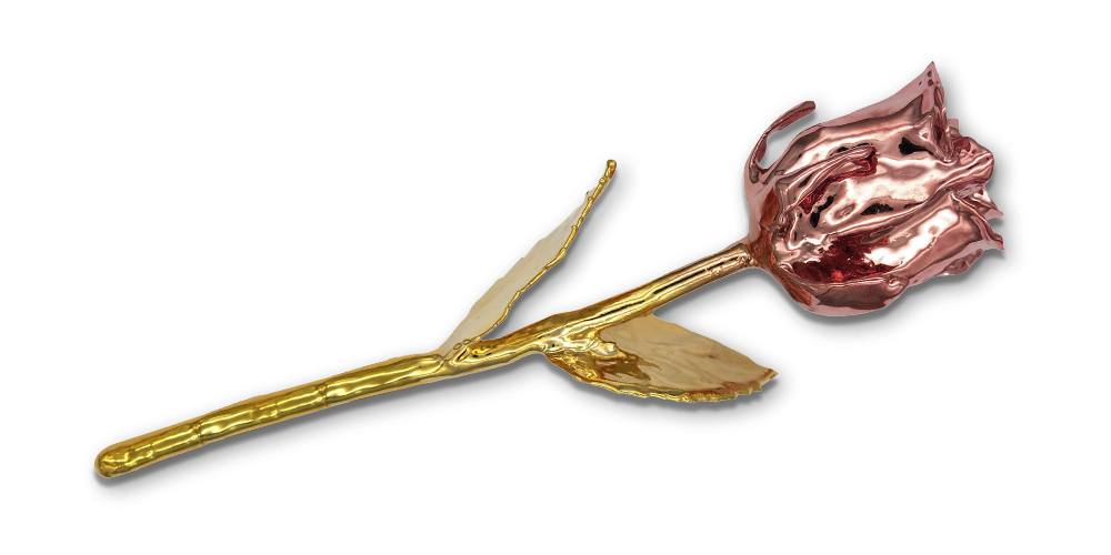 Īsta roze ar tīra dzeltenā un rozā zelta pārklājumu 