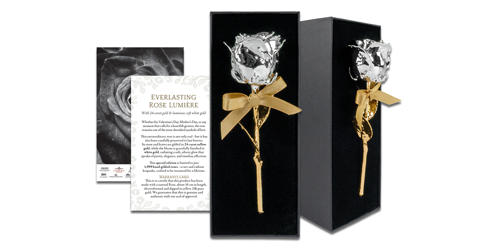 Īsta roze, pārklāta ar dzelteno un balto zeltu