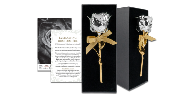 Īsta roze, pārklāta ar dzelteno un balto zeltu