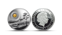 Sudraba monēta “Baltijas jūras dzintars”